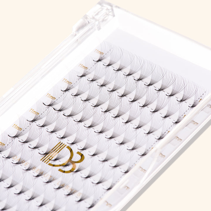 10D Pointy Base Premade Volume Fans Eyelash Extensions 0.07MM