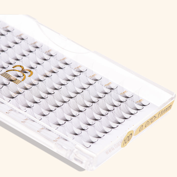10D Pointy Base Premade Volume Fans Eyelash Extensions 0.07MM