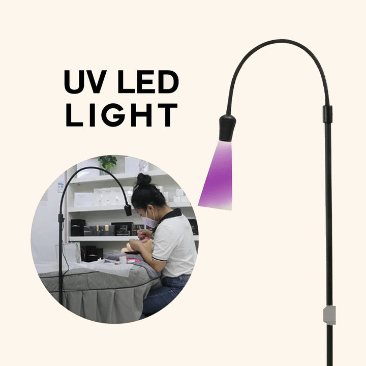 UV Light - Photobiological Safe