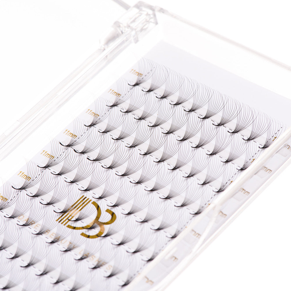 10D Pointy Base Premade Volume Fans Eyelash Extensions 0.07MM